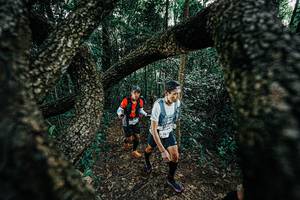 BIB: 
                            <button type="button" onclick="openModal(25392075)" class="btn btn-primary btn-sm float-right btn-popup" data-toggle="modal" data-target=".modal-high-quality">
                        <i class="fas fa-shopping-cart"></i> Add to Cart
                    </button>
                                            <button type="button" onclick="isThisMe(25392075, true)" class="btn btn-success btn-sm float-right btn-popup btn-isme hidden" data-toggle="tooltip" data-placement="bottom" title="นี่คือรูปของคุณใช่ไหม คลิกที่นี่เพื่อเอาเข้าอัลบั้ม">
                        <i class="fas fa-plus"></i> Add to album
                    </button>
                    <button type="button" onclick="isThisMe(25392075, false)" class="btn btn-warning btn-sm float-right btn-popup btn-isnotme hidden">
                        <i class="fas fa-ban"></i> Remove from album
                    </button>